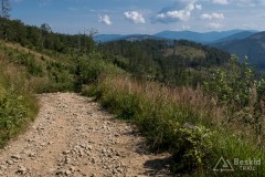 Żółty szlak z Rycerki Górnej na Wielką Raczę