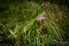 IMG_3194