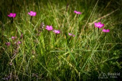 IMG_3201