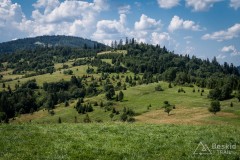 Na grzbiecie Oźnej