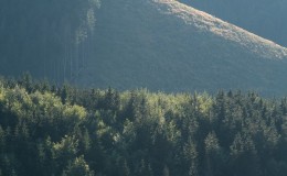 IMG_3291