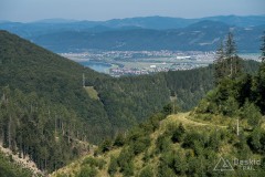 IMG_3208