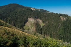 IMG_3209