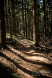 IMG_3218