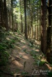 IMG_3219