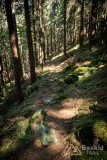 IMG_3220