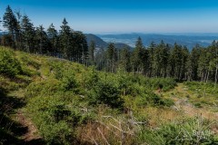 IMG_3225