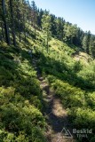 IMG_3228