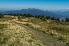IMG_3235