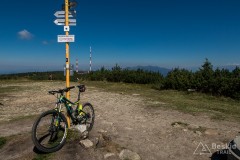 IMG_3237