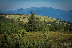 IMG_3238