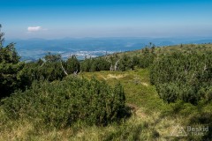 IMG_3239