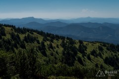 IMG_3242