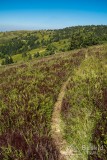 IMG_3247