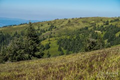 IMG_3250