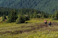 IMG_3254