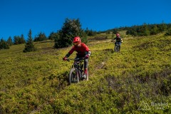 IMG_3257