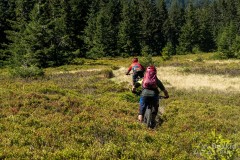 IMG_3259