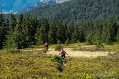 IMG_3261