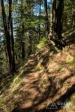 IMG_3267