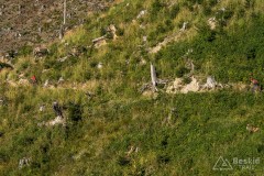 IMG_3277