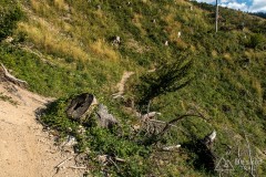 IMG_3280
