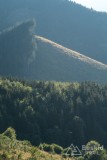 IMG_3291