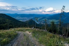 IMG_3293