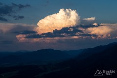 IMG_3294