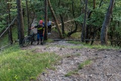 IMG_3296