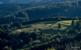 IMG_3351
