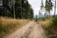 ...i zjazd z tejże, a potem podjazd na Lachów Groń. Niestety oświetlenie było marne, więc bez zdjęcia ze szczytu, ale polecam wizytę - na pobliskim Jałowcu tłumy, a widoki moim zdaniem słabsze.