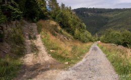Wjazd ze szlaku rowerowego na Brýzgalky