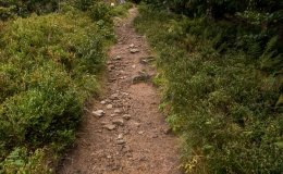 Czerwony szlak z Przełęczy Przegibek na Rycerzową