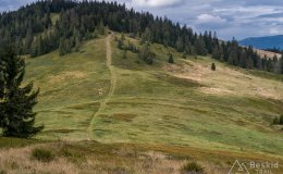Przełęcz Halna i Mała Rycerzowa
