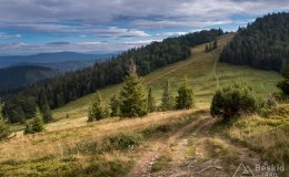 Przełęcz Halna i Hala Rycerzowa