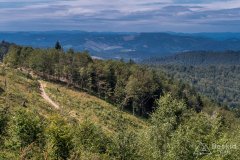 Zielony szlak z Małej Raczy do Starej Bystrzycy