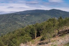 Zielony szlak z Małej Raczy do Starej Bystrzycy (Mała i Wielka Racza)
