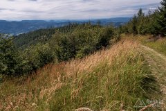 Zielony szlak z Małej Raczy do Starej Bystrzycy