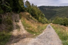 Wjazd ze szlaku rowerowego na Brýzgalky