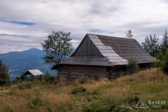 Brýzgalky