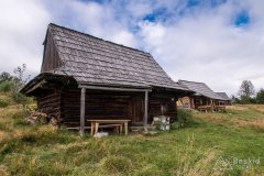 Brýzgalky