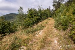 Przejazd dzikim singlem z Brýzgalek do granicy PL/SK pod Bugaj