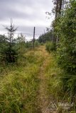 Przejazd dzikim singlem z Brýzgalek do granicy PL/SK pod Bugaj