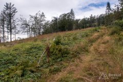 Przejazd dzikim singlem z Brýzgalek do granicy PL/SK pod Bugaj