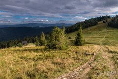 Przełęcz Halna