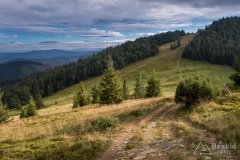 Przełęcz Halna i Hala Rycerzowa