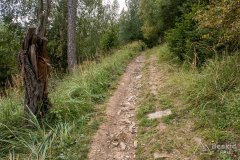 Czerwony szlak z Rycerzowej do Rycerki Dolnej