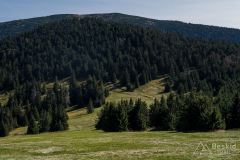 Hala Cudzichowa i Pilsko