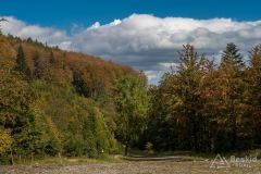 W dolinie Twardorzeczki